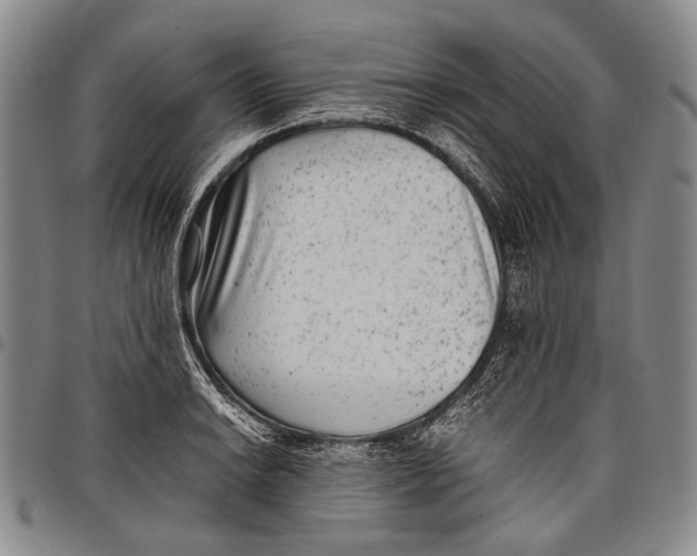 X0000097961038200804141023