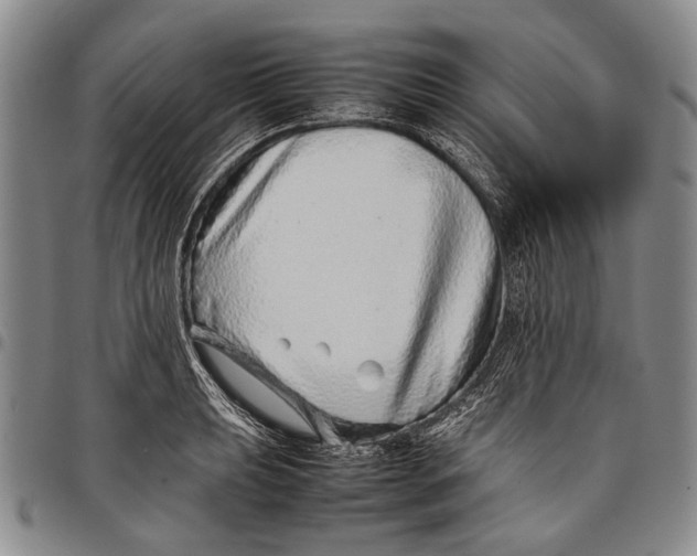 X0000097961039200804141023