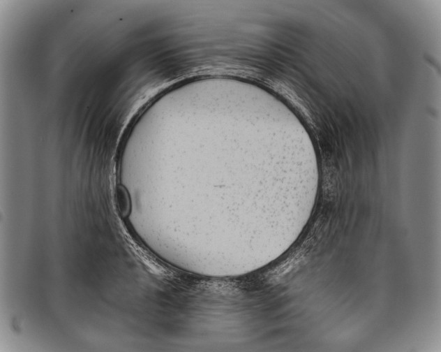 X0000097961040200804141023