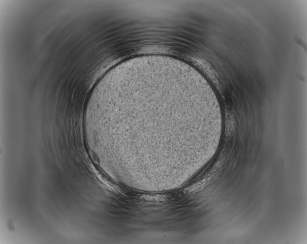 X0000097961041200804141023