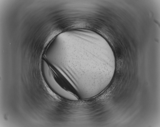 X0000097961042200804141023