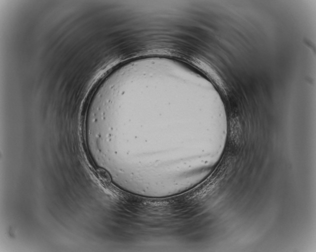 X0000097961043200804141023