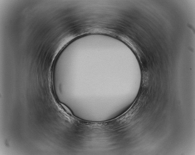 X0000097961048200804141023