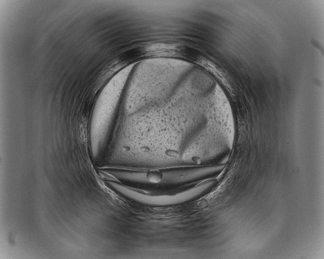 X0000097961049200804141023
