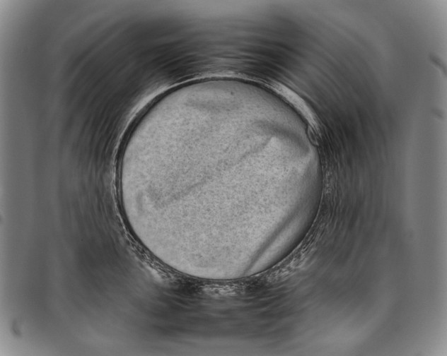 X0000097961051200804141023