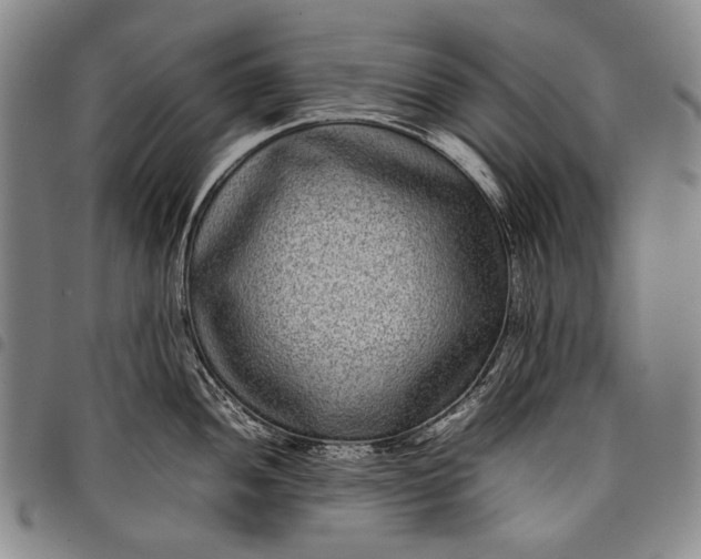 X0000097961052200804141023