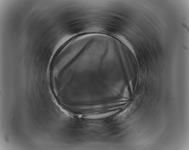 X0000097961053200804141023