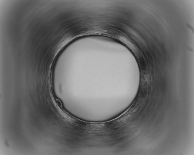 X0000097961055200804141023
