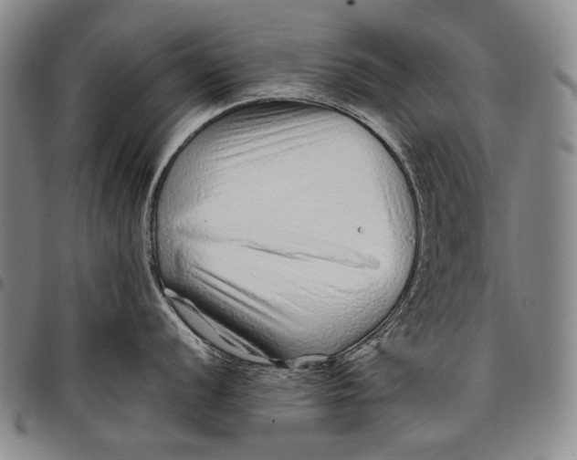 X0000097961056200804141023
