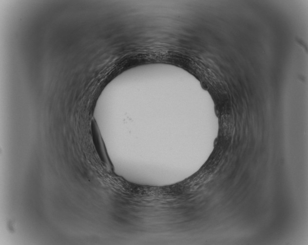 X0000097961057200804141022