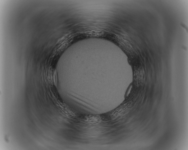 X0000097961058200804141022