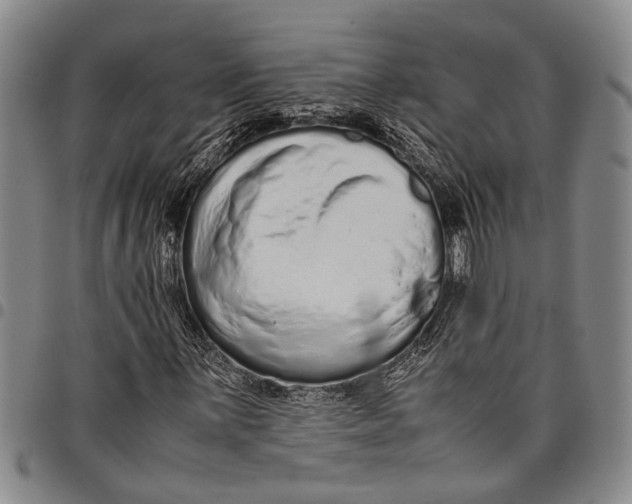 X0000097961059200804141022