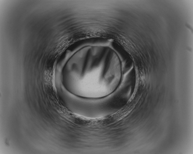 X0000097961060200804141022