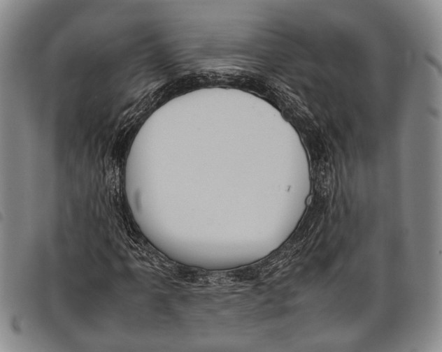 X0000097961061200804141022