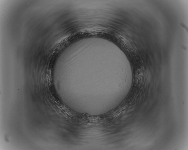 X0000097961062200804141022