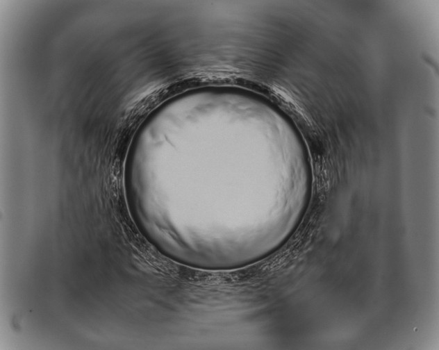 X0000097961063200804141022