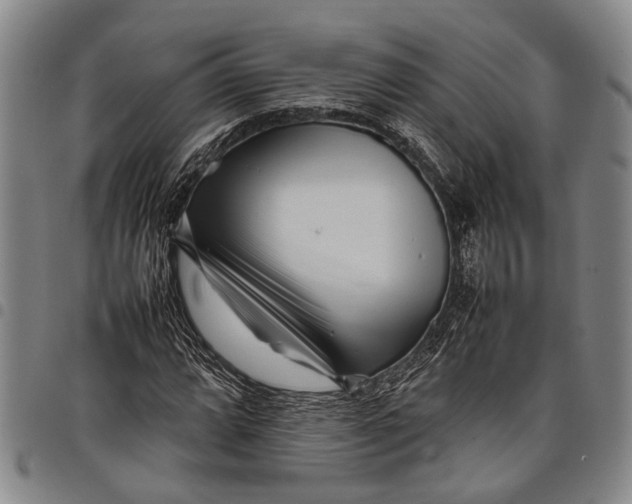 X0000097961064200804141022