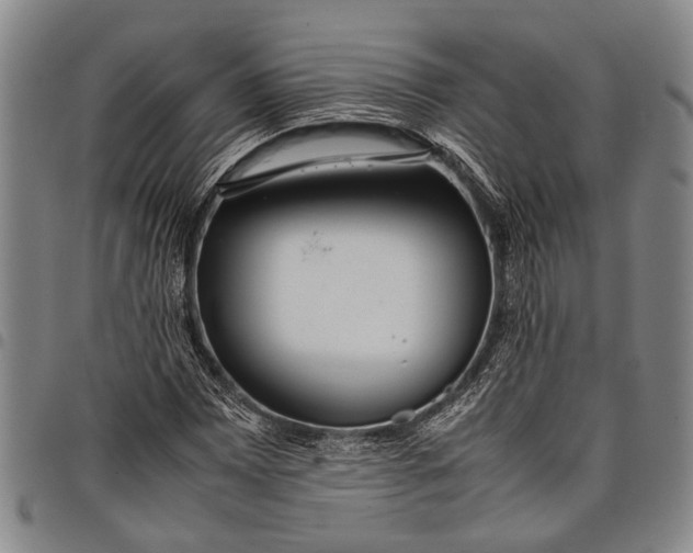 X0000097961065200804141022