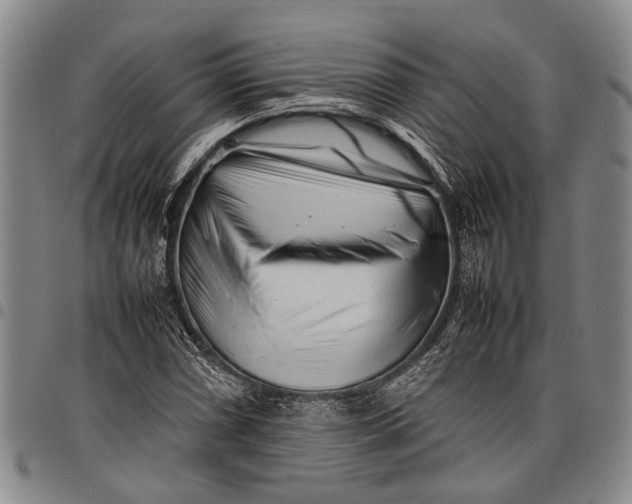 X0000097961066200804141022