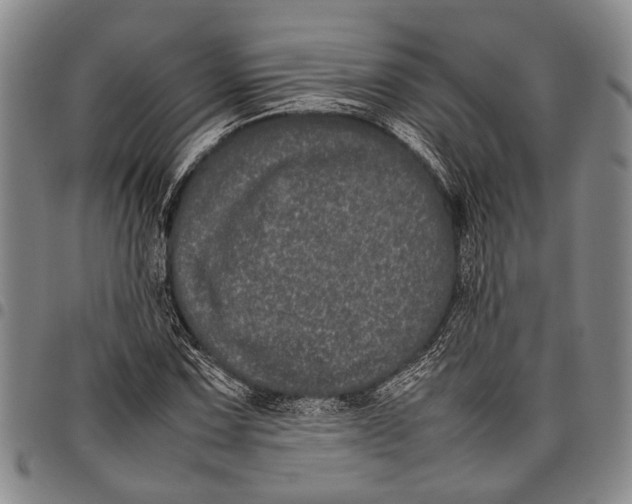 X0000097961067200804141022