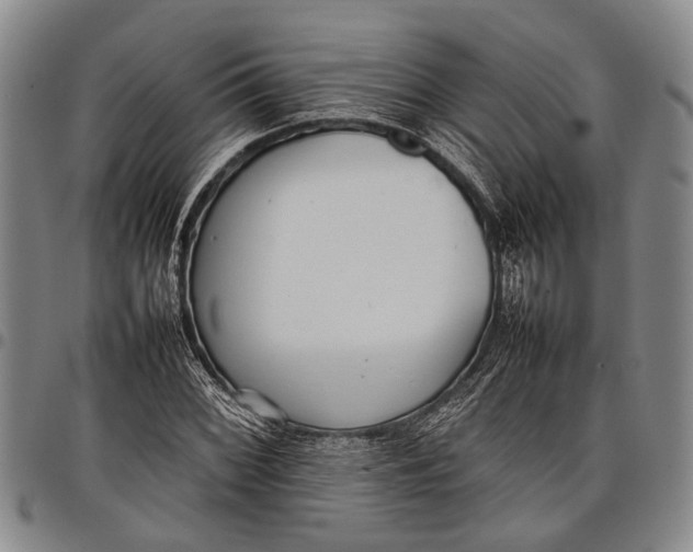 X0000097961068200804141022