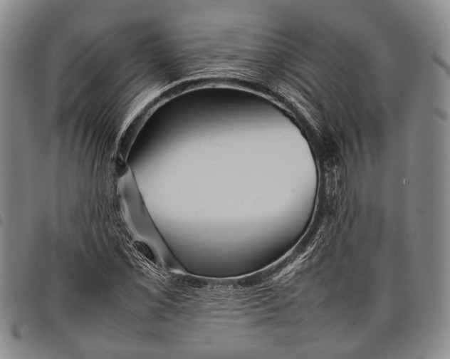 X0000097961069200804141022