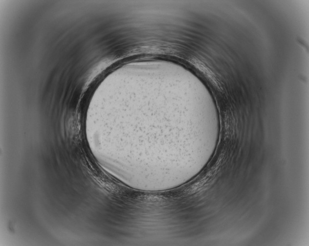 X0000097961070200804141022