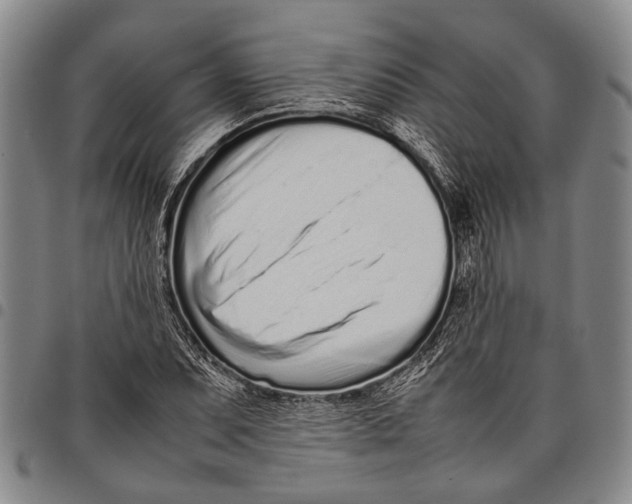 X0000097961071200804141022