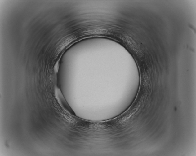 X0000097961073200804141022