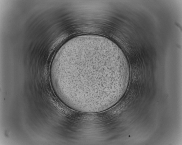 X0000097961074200804141022