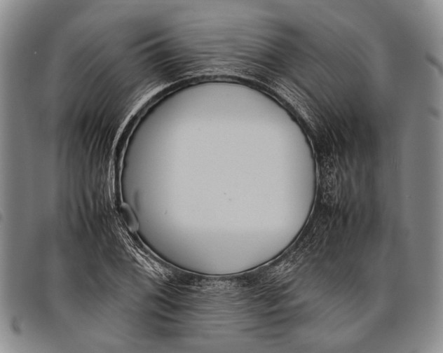 X0000097961076200804141022