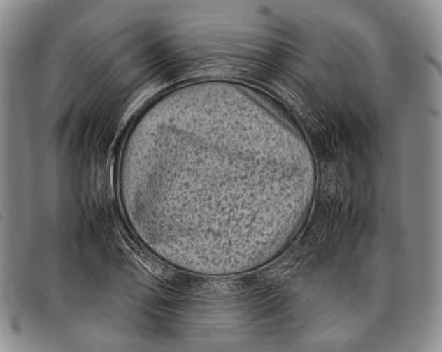 X0000097961078200804141022