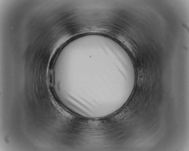X0000097961080200804141022