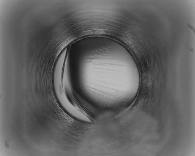X0000097961081200804141022