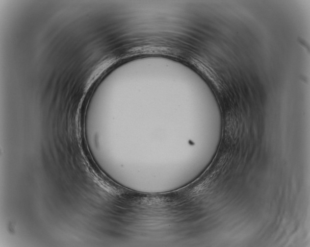 X0000097961082200804141022