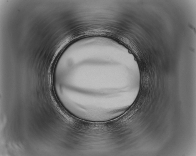 X0000097961083200804141022