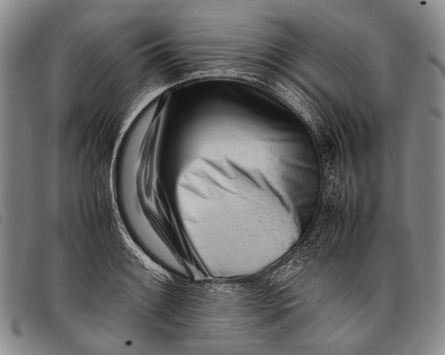 X0000097961084200804141022