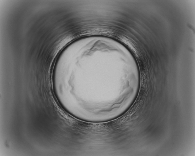 X0000097961087200804141022