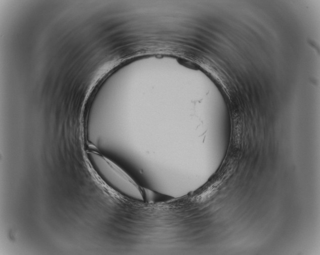 X0000097961088200804141022