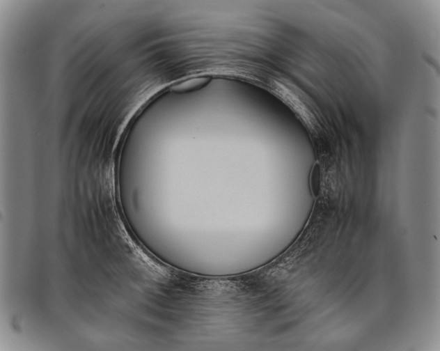 X0000097961092200804141022