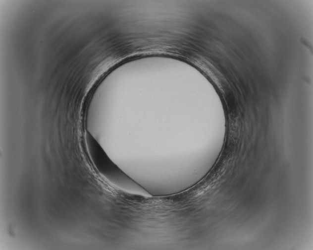 X0000097961093200804141022