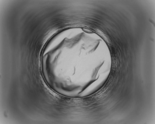 X0000097961095200804141022