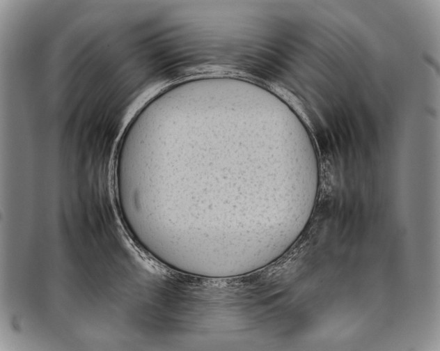 X0000097961098200804141022