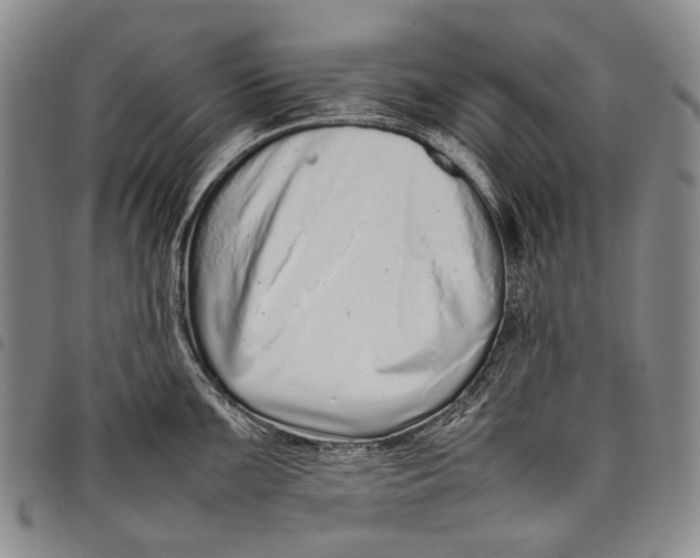 X0000097961099200804141021