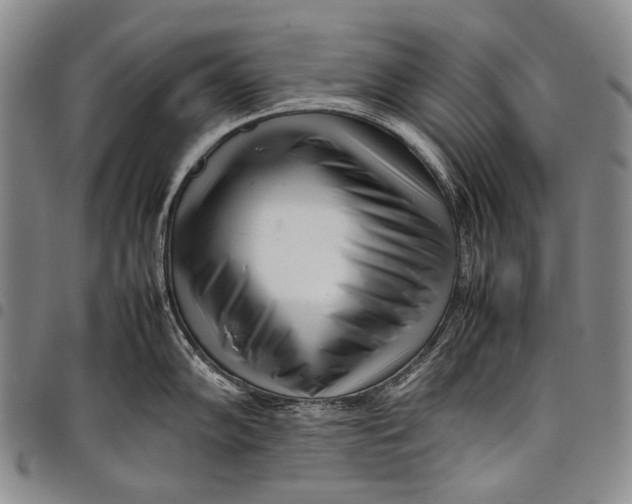 X0000097961102200804141021