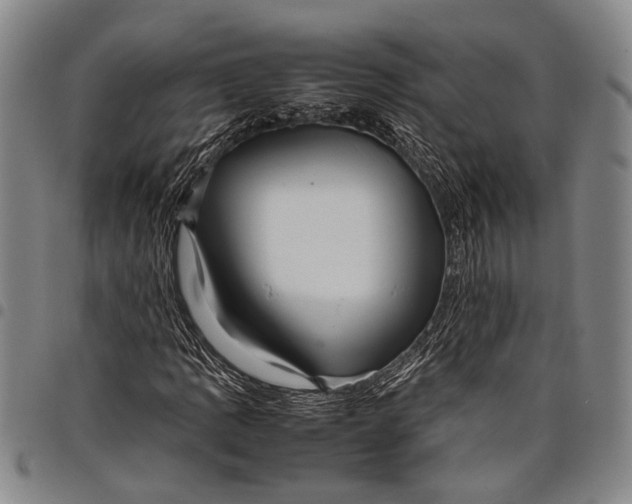 X0000097961109200804141021