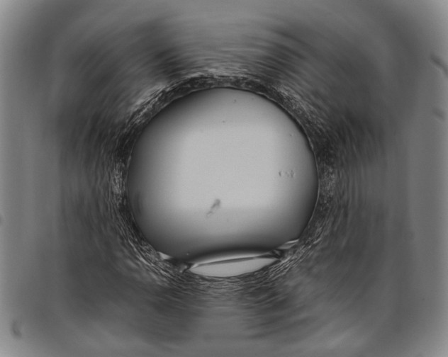 X0000097961110200804141021