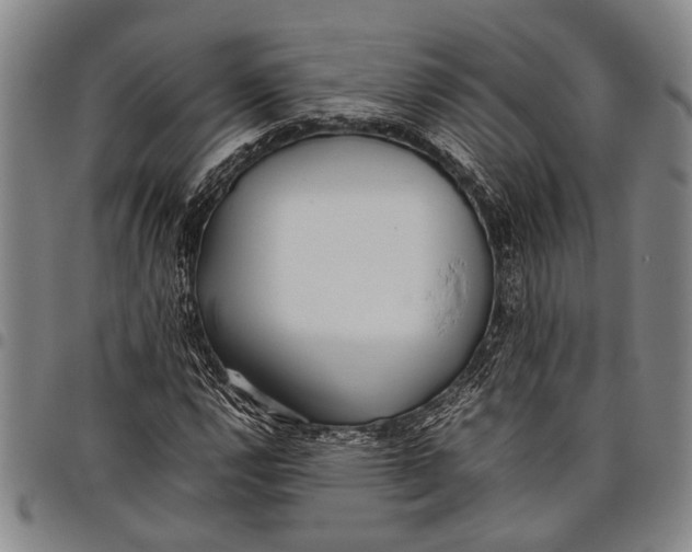 X0000097961112200804141021