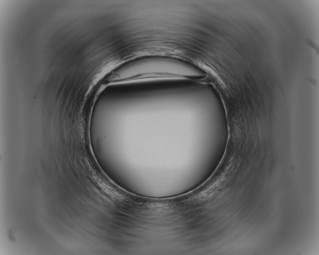X0000097961114200804141021
