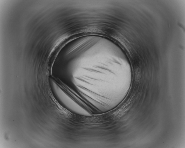 X0000097961115200804141021